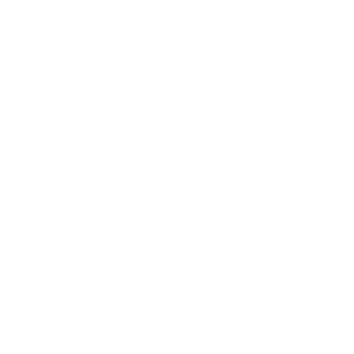 fixed icon