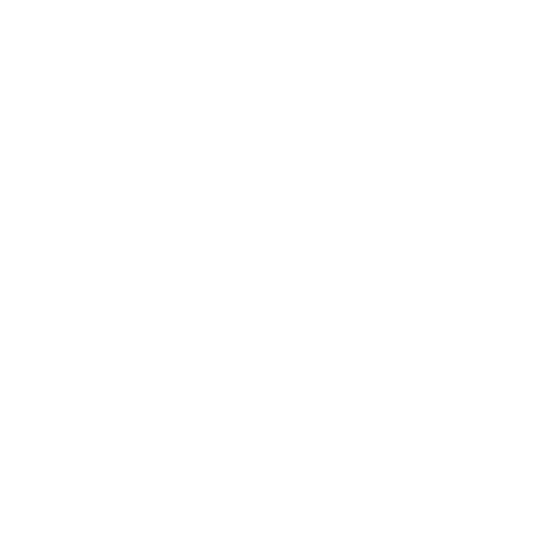 variable icon